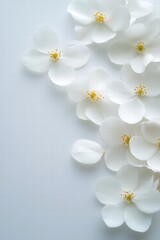 Obraz premium White Floral Arrangement with Delicate Petals and Bright Centers