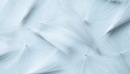Closeup of dandelion seeds showcasing intricate white filaments and soft textures creating a dreamy and natural aesthetic ideal for botanical themes