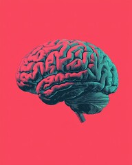 A vibrant illustration of a brain, showcasing intricate details against a bold pink background, emphasizing creativity and intellect.