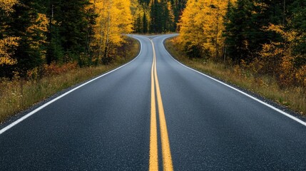 Fototapeta premium Scenic autumn road winding through a lush vibrant forest landscape with colorful fall foliage This untouched natural wonder invites travelers on an adventurous journey through the serene wilderness
