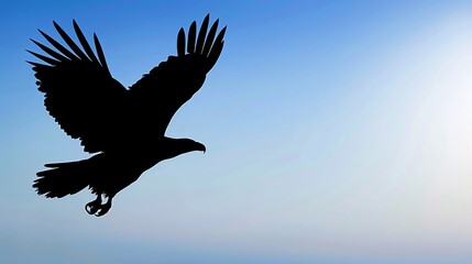 Soaring Bald Eagle Silhouette of a majestic bald eagle soaring in the sky with ample blank space for adding text