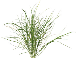 Grass, Bush, Flower Overlays