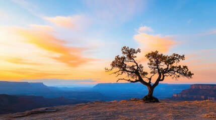 Obraz premium Breathtaking solitary tree silhouette at scenic sunset overlooking majestic mountain landscape with dramatic sky and serene atmosphere Outdoor adventure and of natural wonders