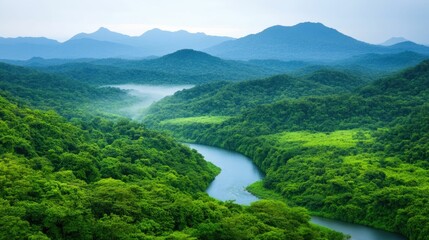 Eco tourism Promoting Sustainable Travel to Untouched Natural Landscapes   Scenic Vista of Lush Green Forests Mountains and Winding River in Peaceful Wilderness Setting