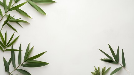 Fototapeta premium Bamboo leaves on a white backdrop with copy space image.