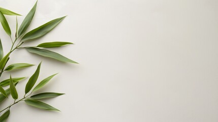 Naklejka premium Bamboo leaves on a white backdrop with copy space image.