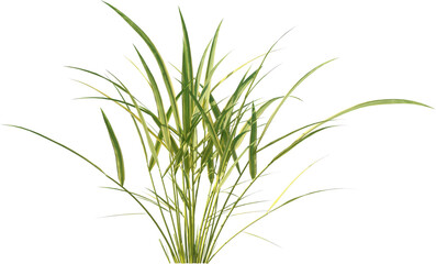 Grass, Bush, Flower Overlays