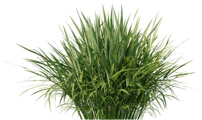 Grass, Bush, Flower Overlays