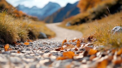 Autumn path with fallen leaves amid scenic mountain landscape