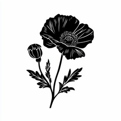 Elegant black and white poppy flower illustration.