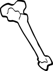 hand drawn cartoon bone illustration.