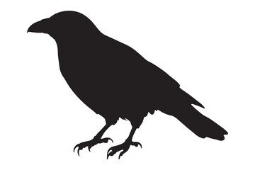 Bird silhouette vector illustration