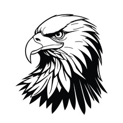 Black and white eagle Vector Illustration