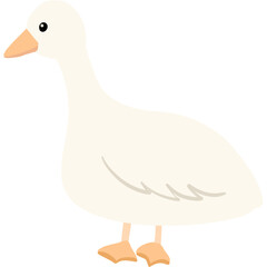 Animal, cute, cute animals, animals, pet