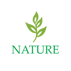 Natural Logo Design