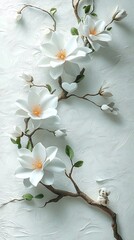 Elegant white magnolia blossoms arranged on a branch against a textured white background.