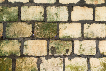 Weathered Brick Wall with Moss and Dirt