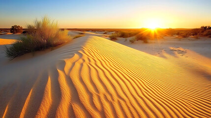 Fototapeta premium Golden sand dunes with soft curves and shadows under a clear and warm evening sky 