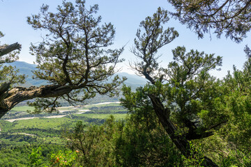 Valley and river Mtkvari (Kura) through branches and leaves of trees. Green meadows, mountains, blue sky.