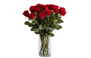  Red roses in a vase on a table, with a white wall background (2)