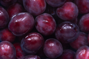 Lots of ripe washed plums