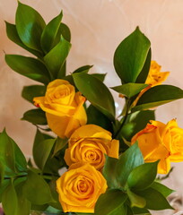 Bouquet of yellow flowers "Rose" close-up on the background of the wall of the room