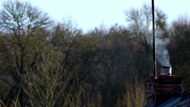 plan fixe dur une vieille chemin&eacute;e en hiver, en plan large par temps tr&egrave;s froid, avec un zoom arri&egrave;re sur la sortie de chemin&eacute;e, arri&egrave;re plan forestier, par temps clair