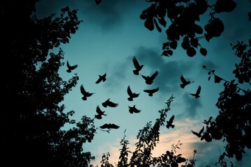 Fototapeta premium Stunning Silhouette of Birds Flying at Sunset with Nature's Beauty