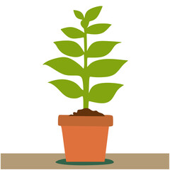 tree in a pot vector illustration