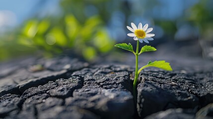 Adaptability: Thriving in dynamic environments by staying flexible, learning quickly, and adjusting strategies to succeed in rapidly changing industries.
