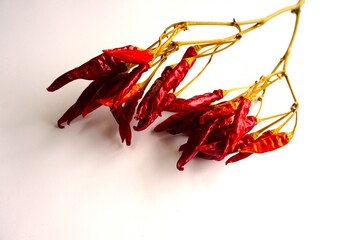 枝付きの乾燥した赤唐辛子