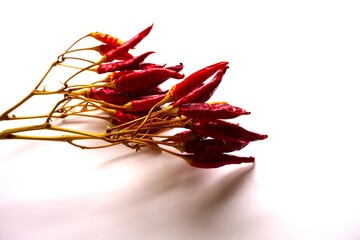 枝付きの乾燥した赤唐辛子
