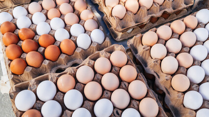 Egg trays, fresh eggs at the market