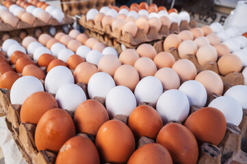 Close-up of brown eggs in a cardboard box at a farmer's market