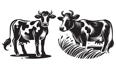 cow on white background