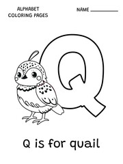 English alphabet coloring page Q is for quail