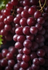 Fototapeta premium Red grapes for wine