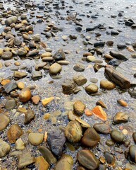 Stones on the shore of the Black Sea in the early morning
