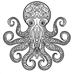 hand drawn illustration of an octopus
