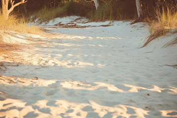 Sandy Path Sunlight Illustration
