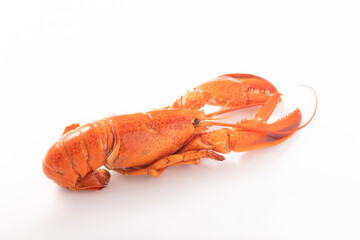 ［カナダ産］ボイル　オマール海老