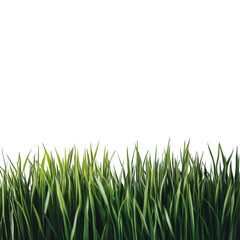 Fototapeta premium Lush Green Grass Patch Ideal for Landscaping and Recreation on transparent background