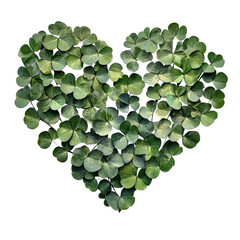 Heart Shaped Clover Image for St. Patrick's Day Celebrations on transparent background