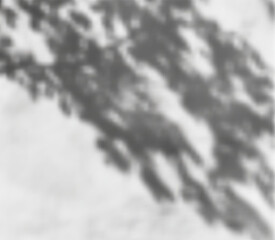 Obraz premium Abstract Leaf Shadow Overlay Effect for Backgrounds, Social Media Posts, and Branding Aesthetics. Vector illustration