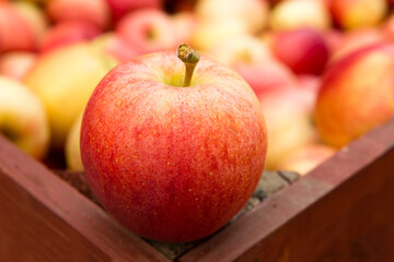 Fresh Ripe Organic Red Gala Apples