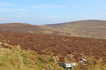 Granite rocks on Dartmoor in Devon	