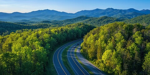 Fototapeta premium Winding Mountain Road Through Lush Green Forest Landscape