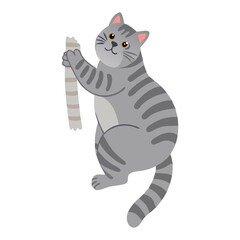 Adorable Cat Vector Illustration - Free Download