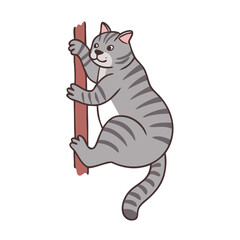 Playful Cat Clipart for Designers and Creators