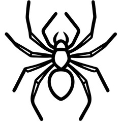 High-Quality Spider Vector Illustration - Free Download